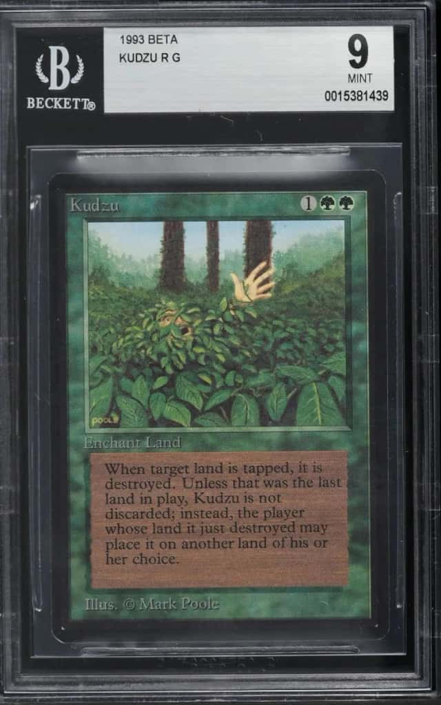 Kudzu R :G: