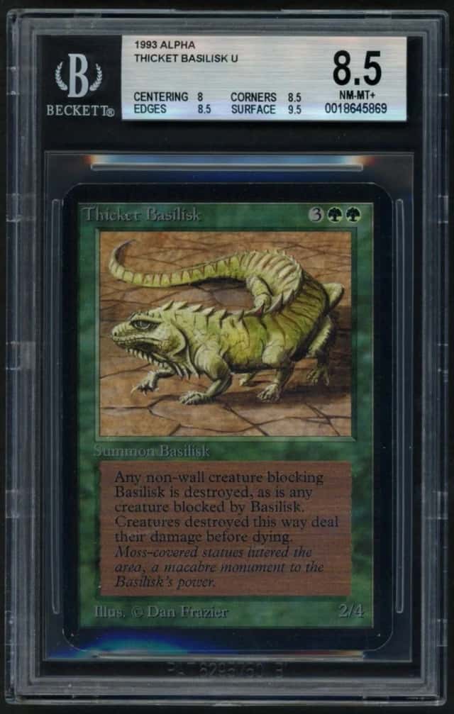 Thicket Basilisk