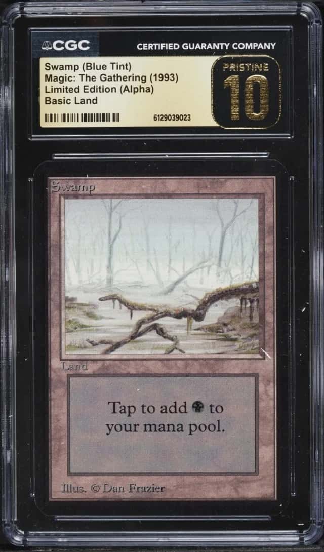 Swamp (Blue Tint)