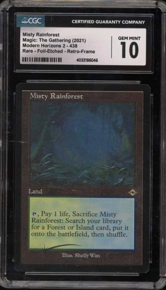 Misty Rainforest