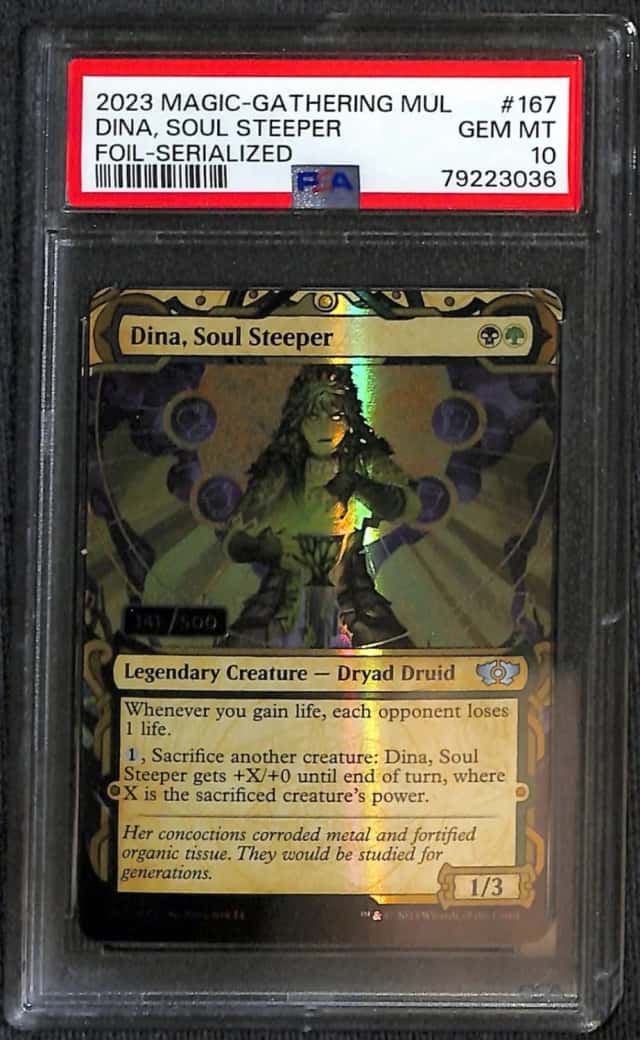 Dina, Soul Steeper