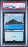 Tropical Island