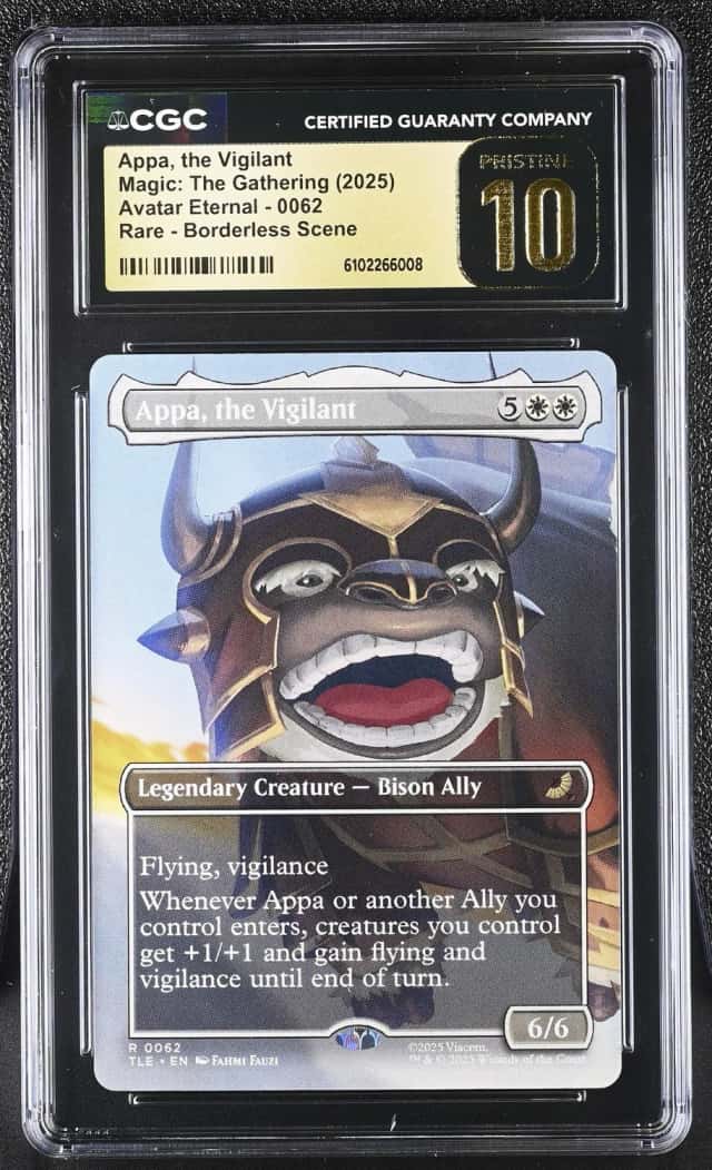 Appa, the Vigilant