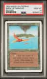 Birds Of Paradise