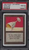 Ivory Cup