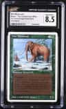 War Mammoth