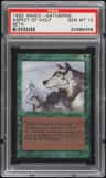Aspect Of Wolf