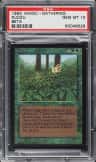 Kudzu
