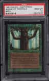 Ironroot Treefolk
