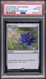 Black Lotus