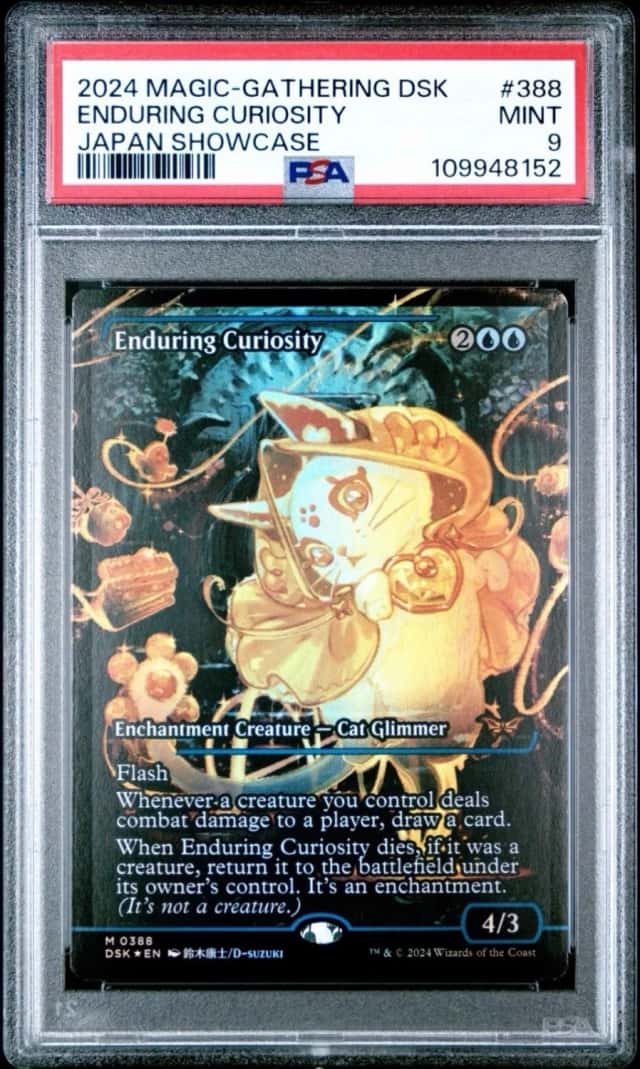 Enduring Curiosity