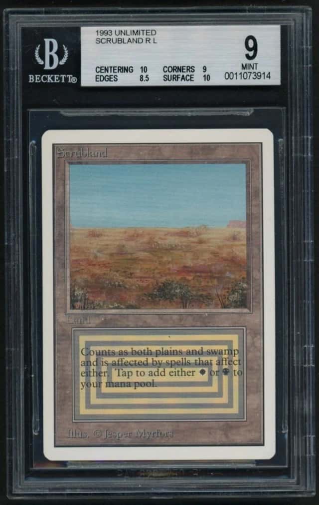 Scrubland R :L:
