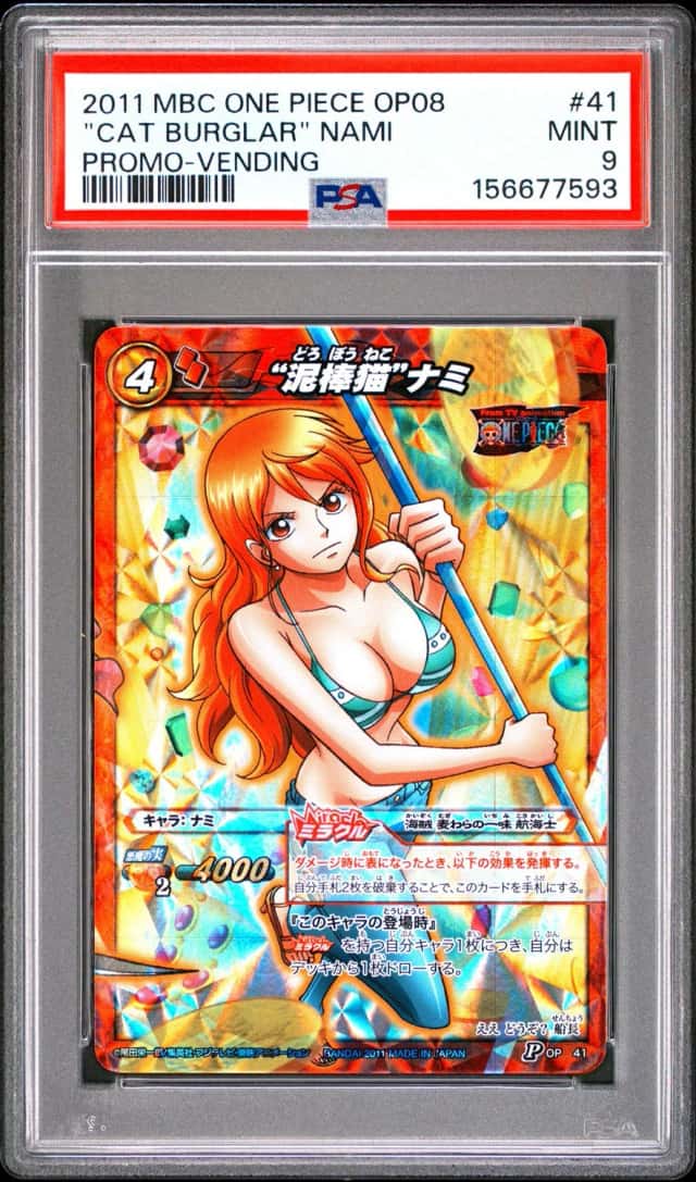 "Cat Burglar" Nami