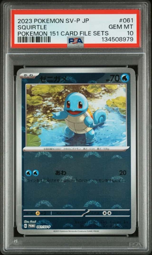 Squirtle