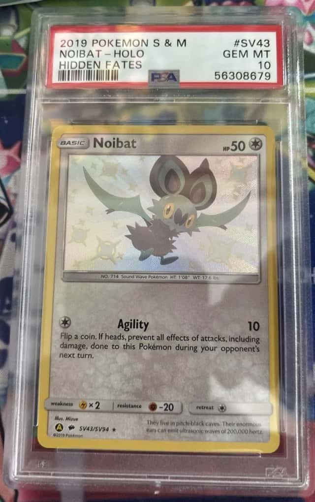 Noibat