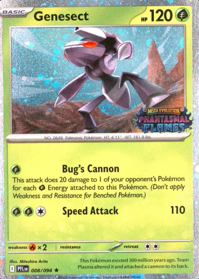 Oceania/Usa Exclusive