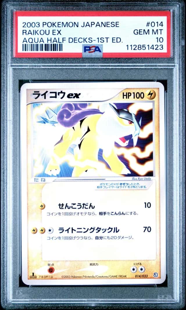 Raikou EX