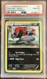 Zoroark