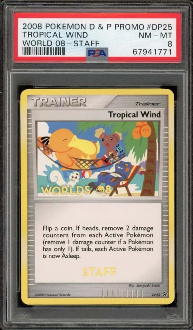 Tropical Wind