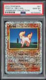 Ponyta
