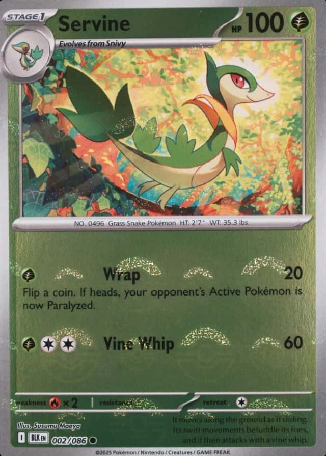 Poke Ball · Reverse Holo