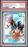 Goten/trunks : Youth