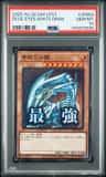 Blue-Eyes White Dragon