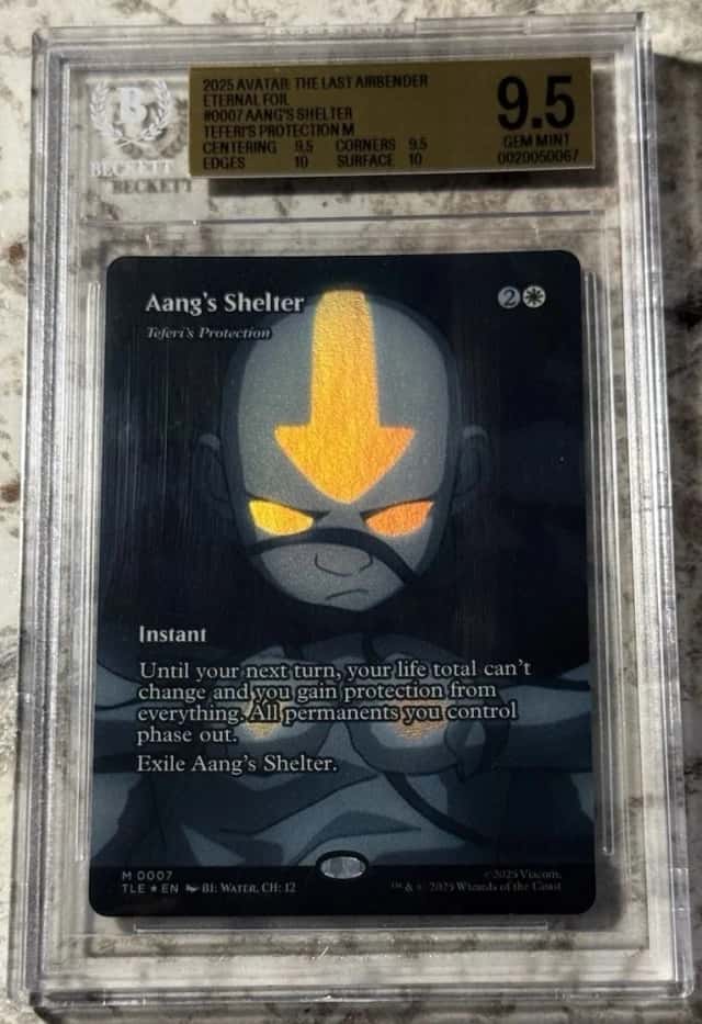 Aang's Shelter
