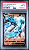 Lucario V