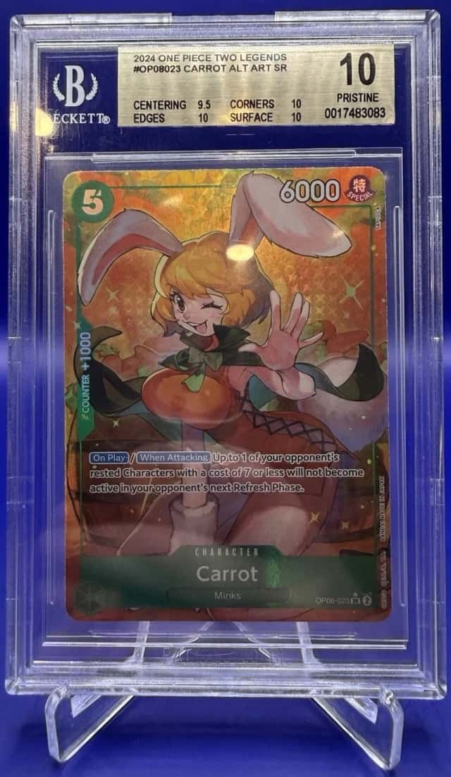 Carrot