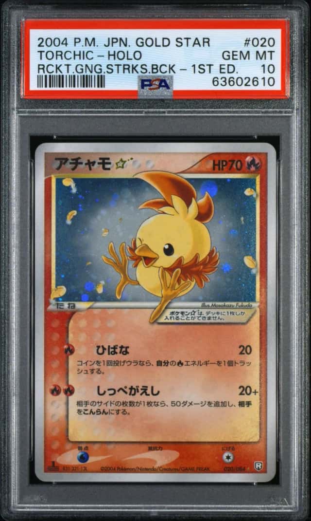 Torchic