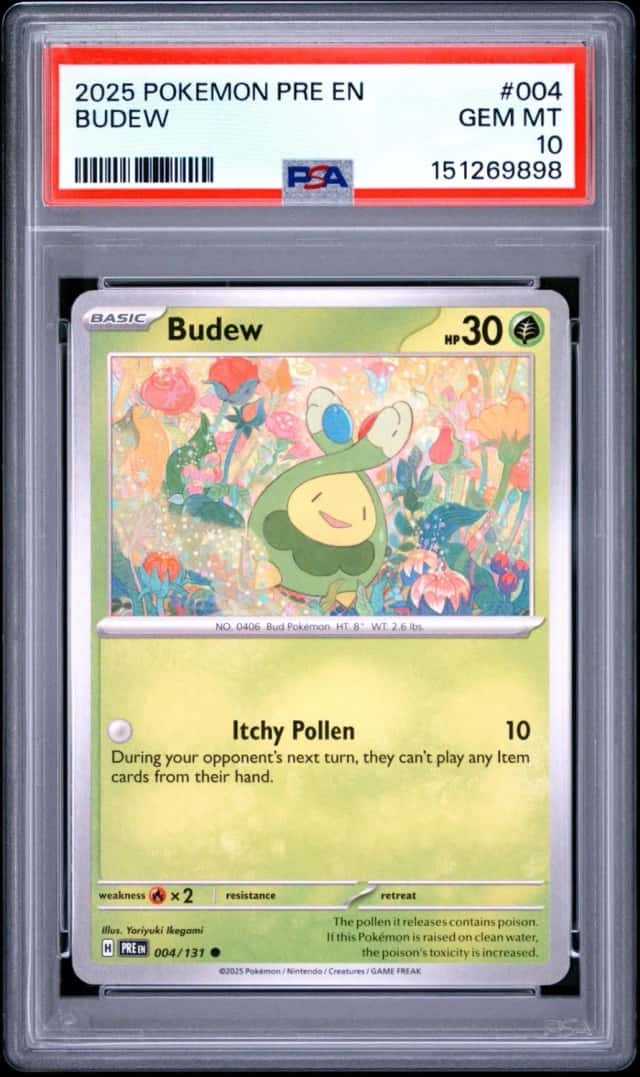 Budew