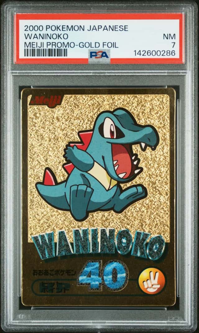 Waninoko
