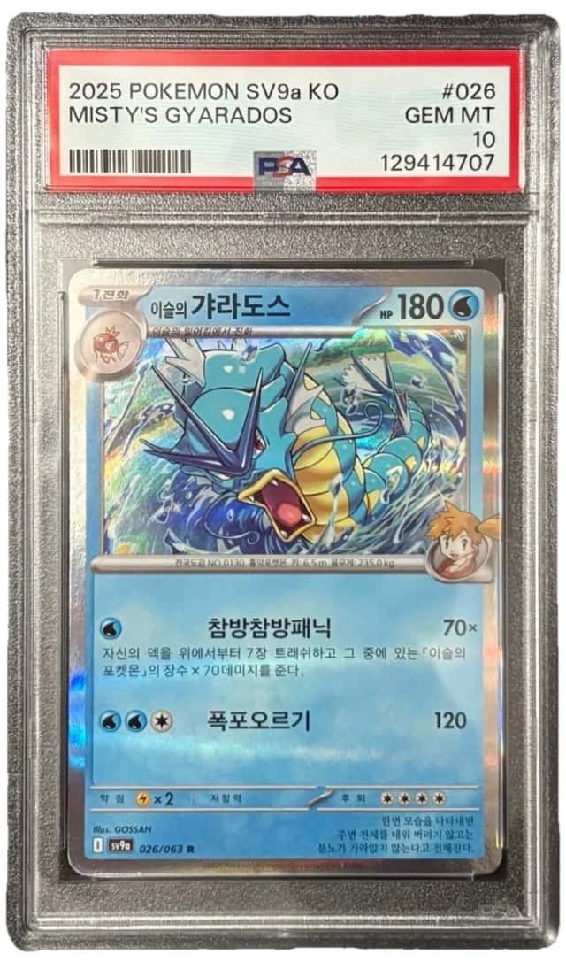 Misty's Gyarados