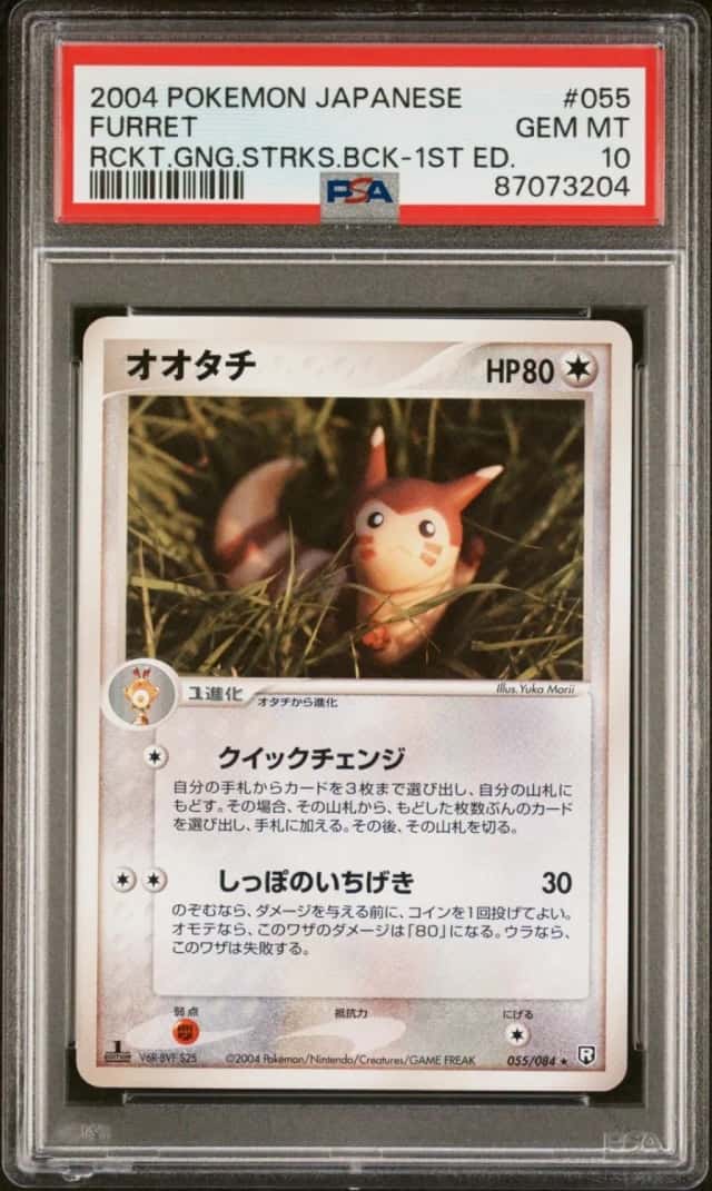 Furret