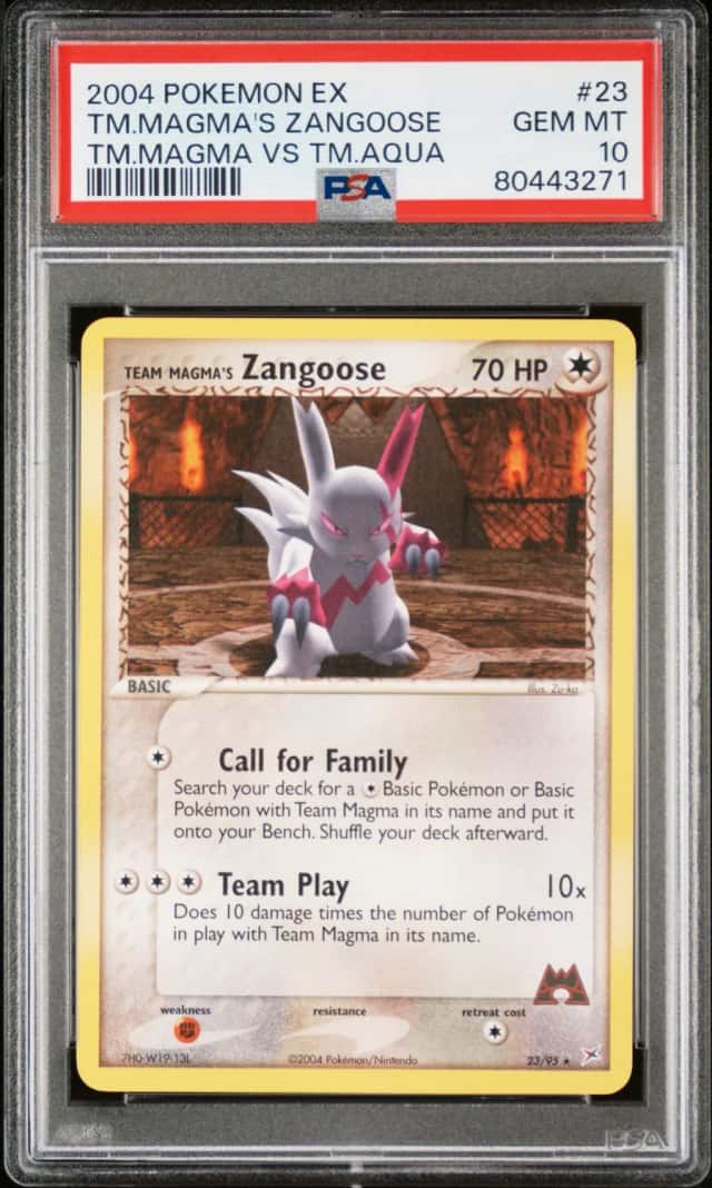 Magma's Zangoose