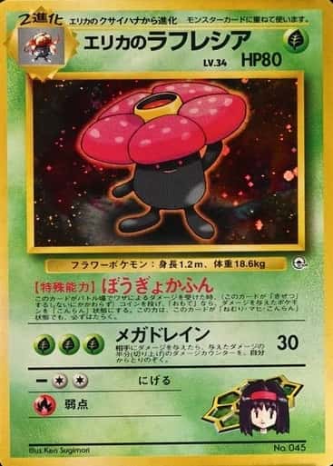 Tamamushi City Gym Deck