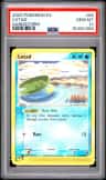 Lotad