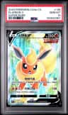 Flareon V