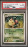 Turtwig