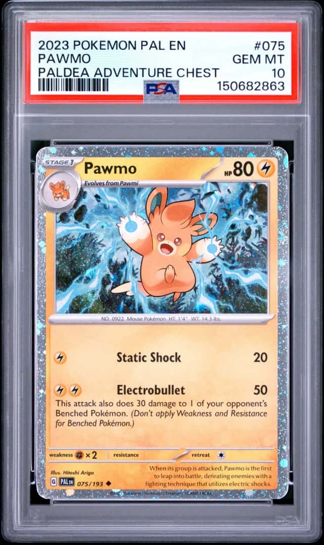 Pawmo