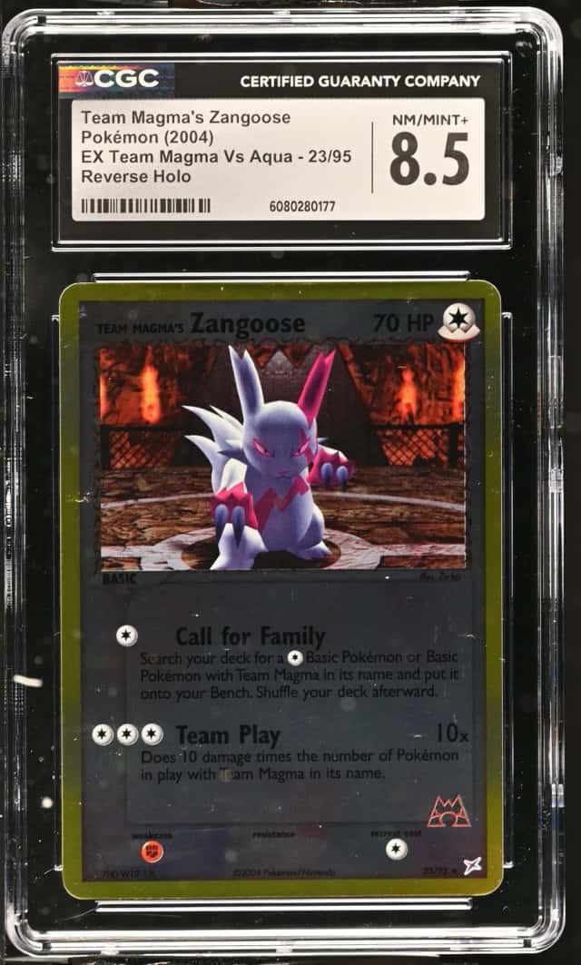 Magma's Zangoose