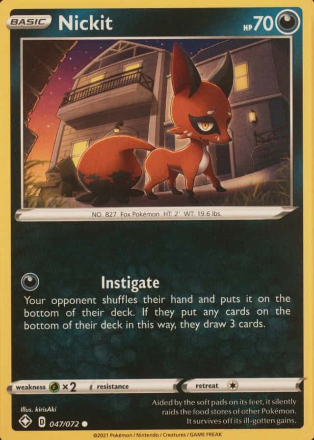 Holo