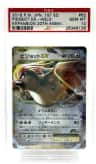 Pidgeot Ex