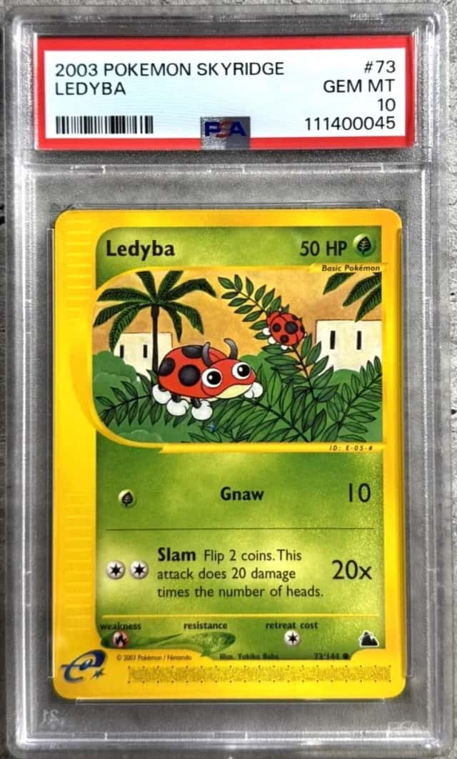Ledyba