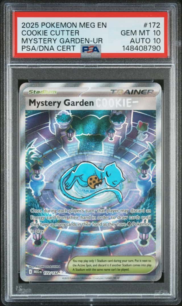 Mystery Garden