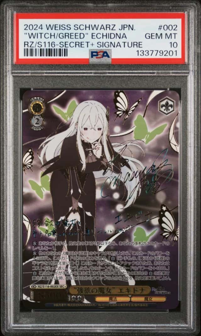 "Witch/Greed" Echidna