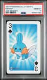 Mudkip