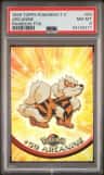 Arcanine