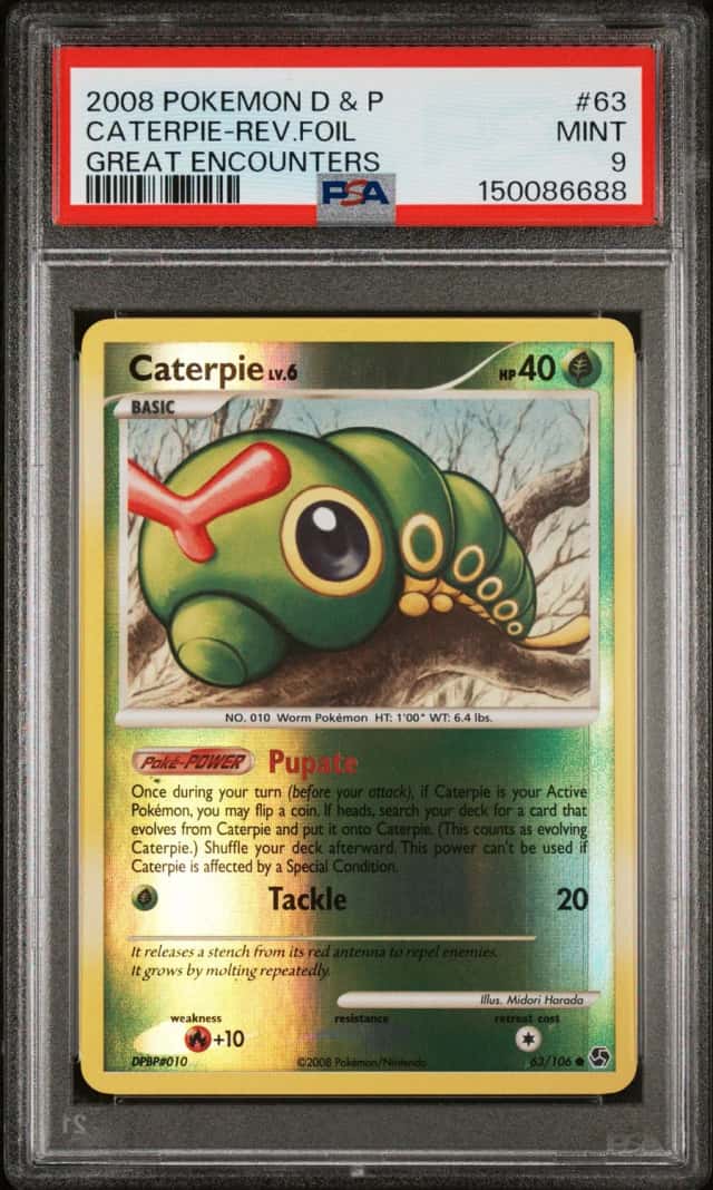 Caterpie